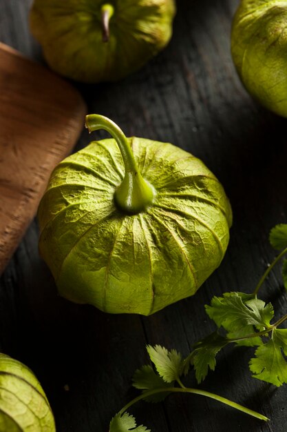 Grupo de tomateiros verdes orgânicos em fundo