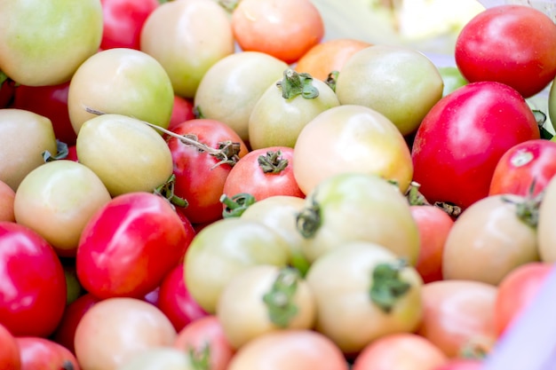 Grupo de tomates frescos