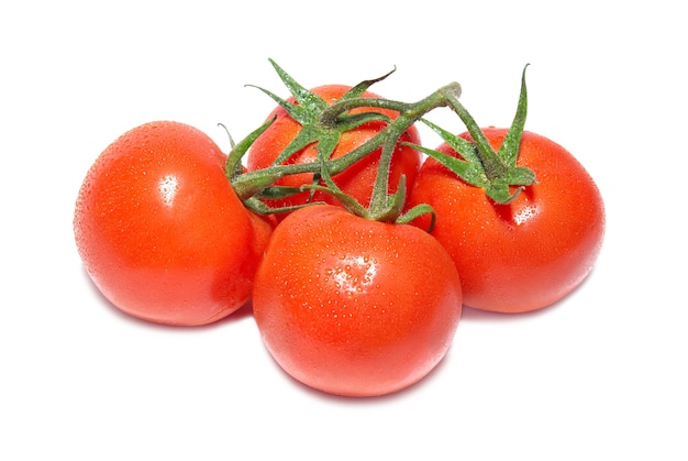 Grupo de tomates vermelhos isolados no branco