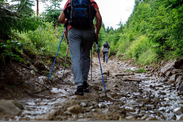 Grupo de turistas caminhando pela montanha