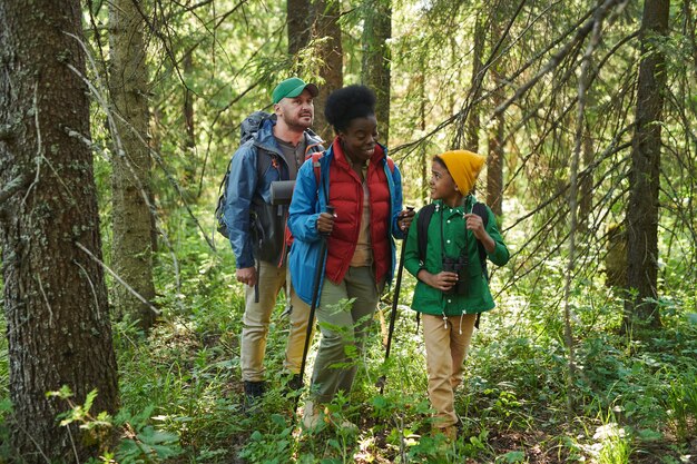 Grupo de turistas faz caminhadas na floresta, conversando enquanto caminham