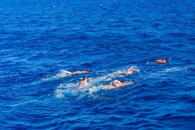 Grupo de turistas mergulhando em um conceito de férias de verão do Mar Vermelho