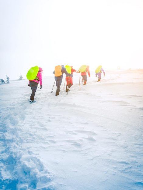 Grupo de escaladores que van a la cima de la montaña en invierno