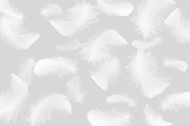 Foto grupo de esponjosas plumas blancas sobre fondo gris.