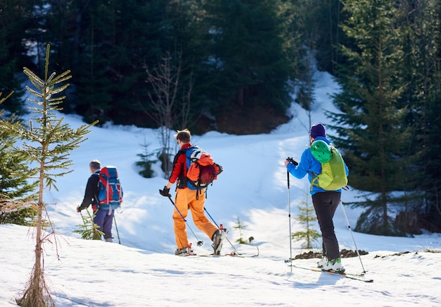 Grupo de esquí haciendo turismo en las montañas de invierno en un día soleado contra el fondo del bosque