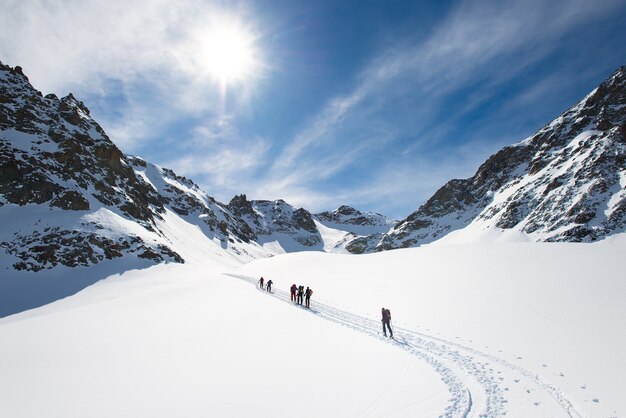 Grupo de esquiadores alpinos en la montaña