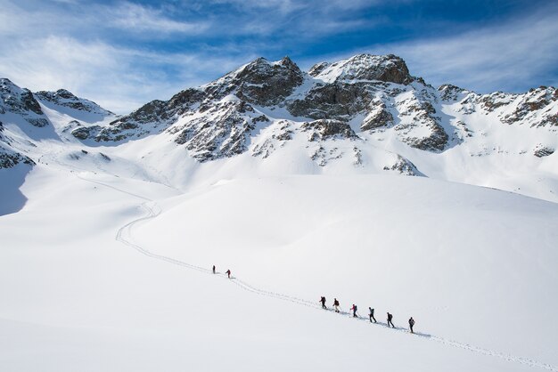 Grupo de esquiadores alpinos en la montaña