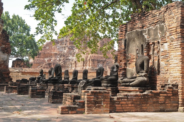 Grupo de estatuas de Buda Ayudhaya Tailandia