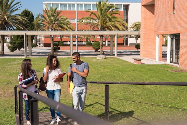 Grupo de estudiantes sentados en el campus de la escuela