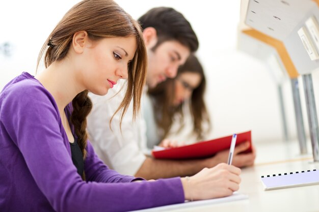 Grupo de estudiantes en el trabajo en una biblioteca