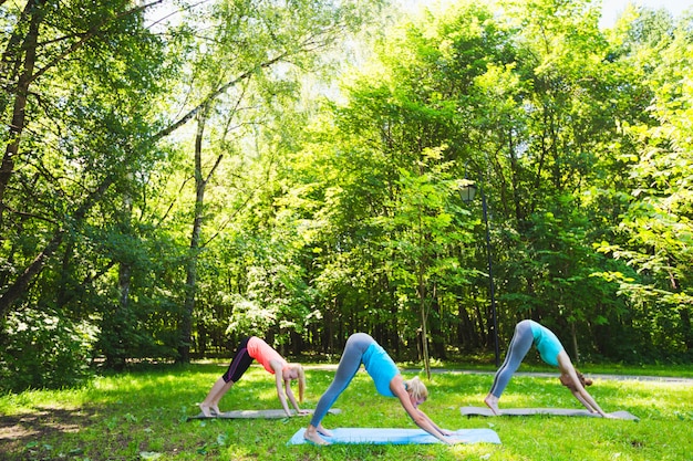 Grupo de fitness haciendo yoga en el parque en un día soleado