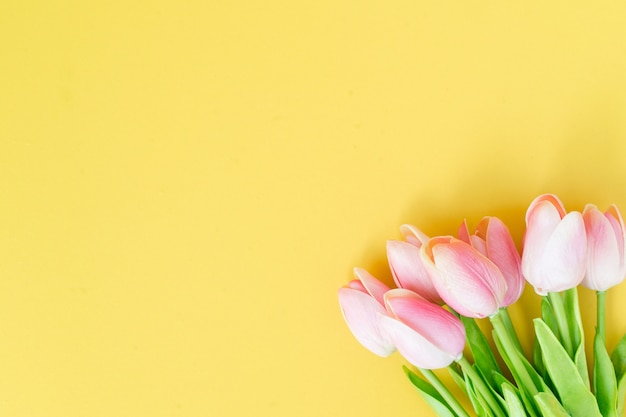 grupo de flores de tulipán de pétalos de rosa florece