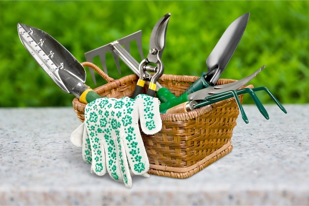 Grupo de herramientas de jardinería en el fondo