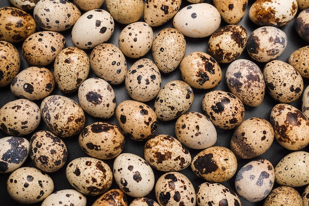 Grupo de huevos de codorniz como fondo Huevos crudos