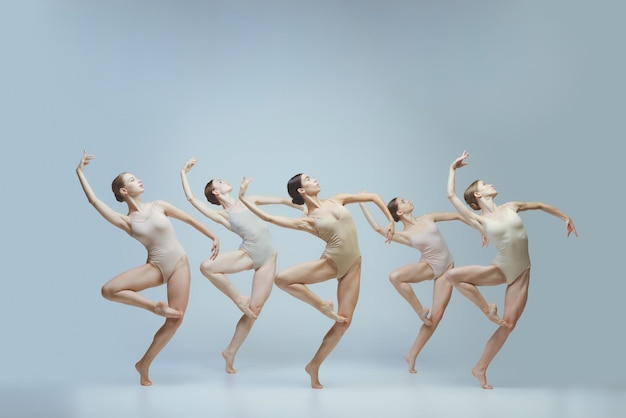 Grupo de jóvenes bailarinas de ballet actuando posando aislado sobre fondo gris studio