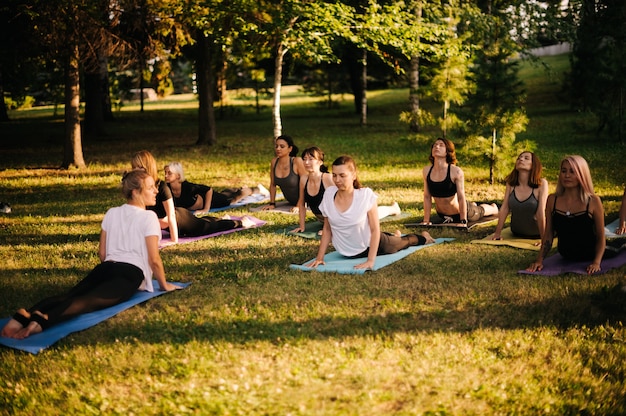 Grupo de jóvenes deportistas que hacen son pose de yoga Urdhva Mukha Svanasana en el parque de la ciudad al amanecer en la mañana soleada de verano. Grupo de mujeres jóvenes son actividad meditando en la posición del perro boca arriba