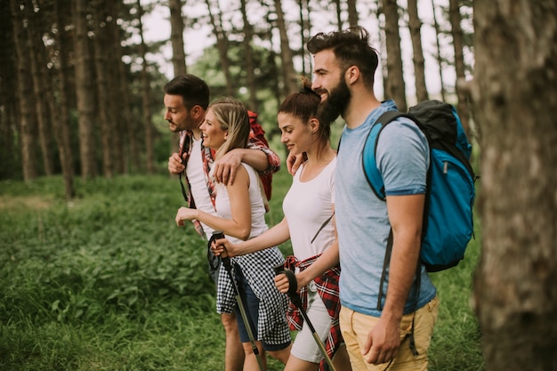 Grupo de jóvenes están caminando en la montaña