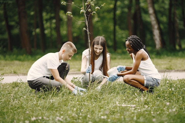 Grupo de jóvenes voluntarios en el parque. Están plantando una plántula de árbol.