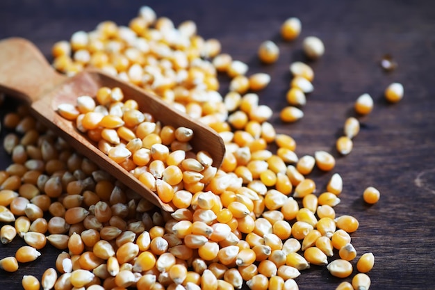 Grupo de maíz dulce de granos de maíz crudo amarillo. Semillas de grano ingrediente grano de maíz dorado. Fondo de palomitas maduras de mesa de madera.