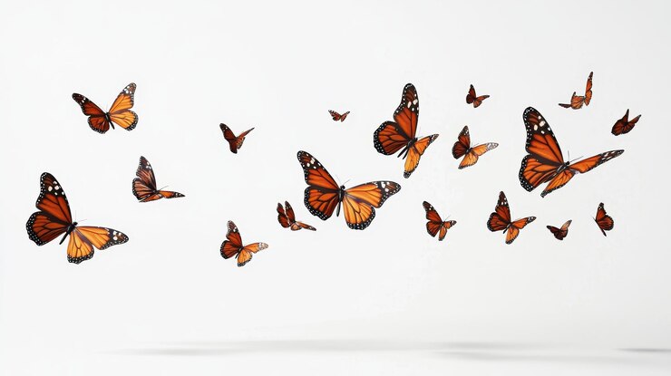 Foto grupo de mariposas monarca volando en un fondo blanco
