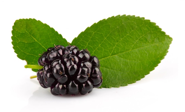 Foto grupo de moras con hojas verdes aisladas