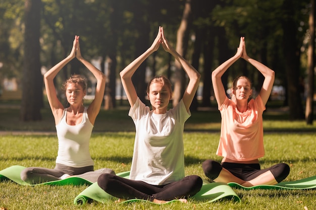 Grupo de mujeres jóvenes practicando yoga, meditación matutina en la naturaleza en el parque.