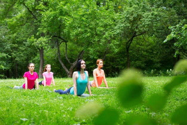 Grupo de mujeres en un parque haciendo ejercicios