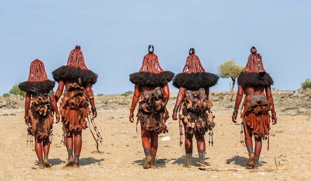 Grupo de mujeres de la tribu Himba están caminando por el desierto con ropa nacional.