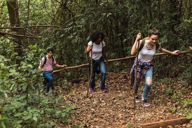 Grupo multirracial de amigos caminando en el campo