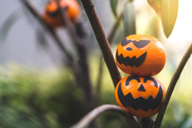 El grupo de naranjas hace frente a la pintura con asustadizo en día de la fiesta de Halloween en la ramificación.