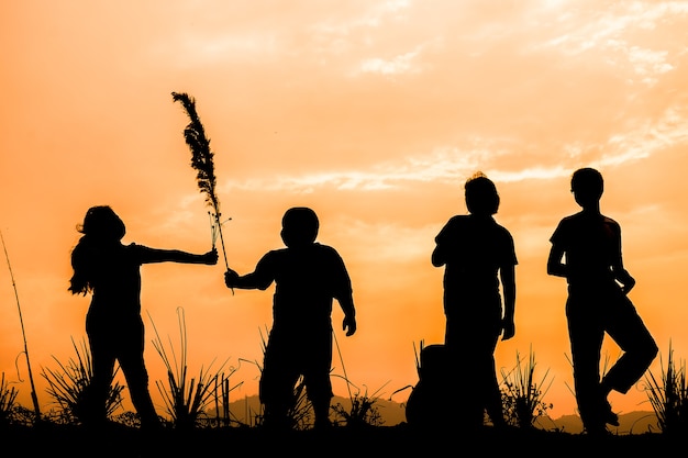 Grupo de niños felices jugando en el prado al atardecer, la silueta