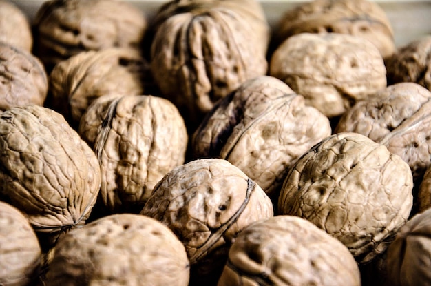 Grupo de nueces frescas sobre fondo blanco.