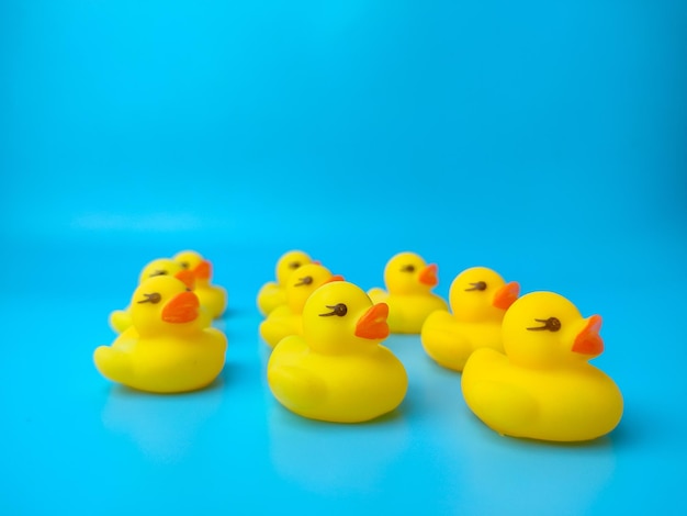 Foto un grupo de patos de juguete reunidos en un fondo azul.