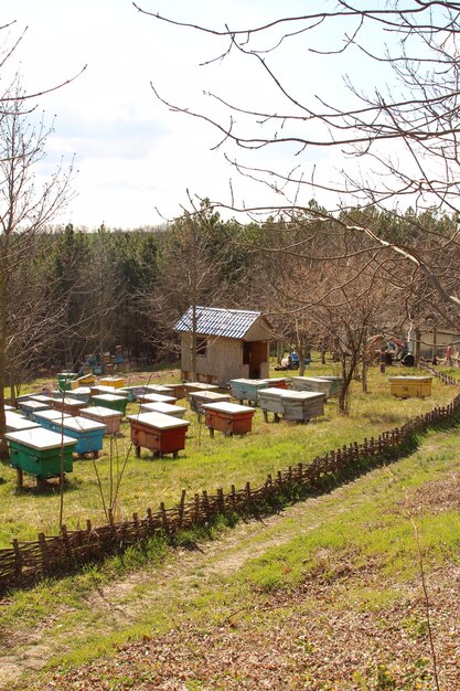 Un grupo de pequeños edificios en una zona de hierba con árboles en el fondo