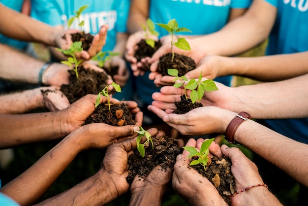 Grupo de personas de conservación ambiental manos plantando en vista aérea