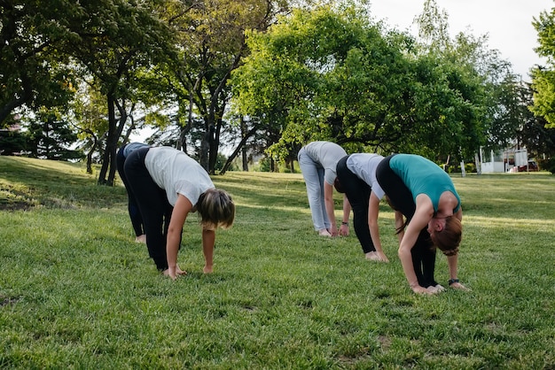 Un grupo de personas hacen yoga en el parque al atardecer.