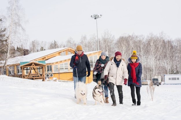 Grupo de personas paseando perros