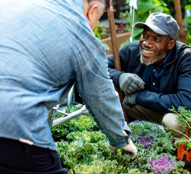 Grupo de personas plantando vegetales en invernadero