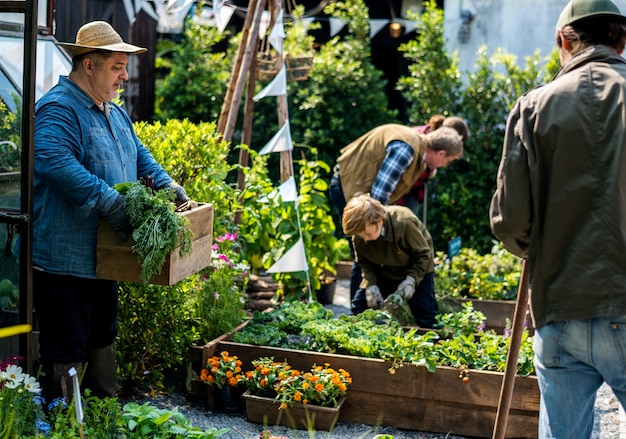 Grupo de personas plantando vegetales en invernadero