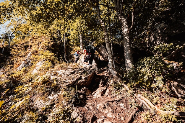 Grupo de senderismo viajero con mochilas Senderismo en las montañas Paisaje soleado Viajero turístico Parque nacional Velka Fatra Eslovaquia