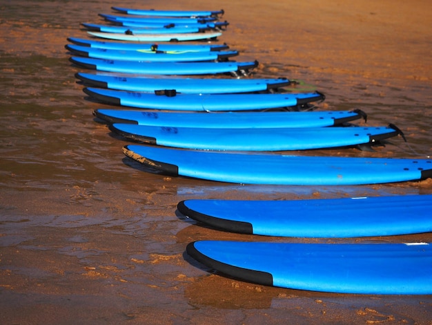 Un grupo de tablas de surf azules para principiantes en la arena a la orilla del mar