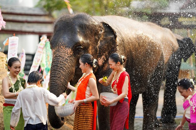 Grupo de tailandeses con la vestimenta tradicional tailandesa juega con salpicaduras de agua en el fondo al aire libre del elefante