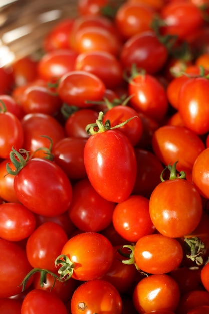 Grupo de tomates frescos en la cesta.