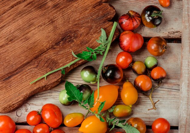 Grupo de tomates frescos Hermosos tomates maduros de diferentes variedades Lugar vacío para texto