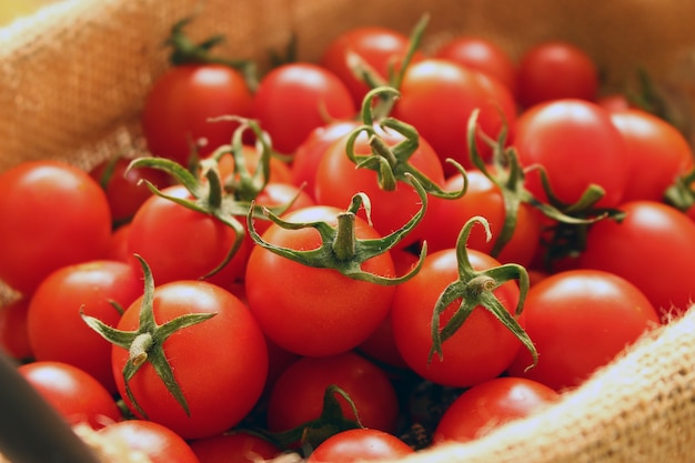 Grupo de tomates frescos