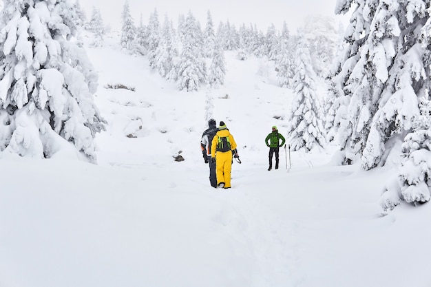 Grupo de turistas en un bosque nevado de montaña de invierno