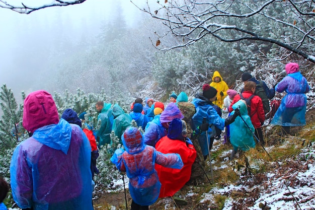 Grupo de turistas con impermeables en una caminata por las montañas Concepto de viaje Personas que viajan a través de bosques y montañas