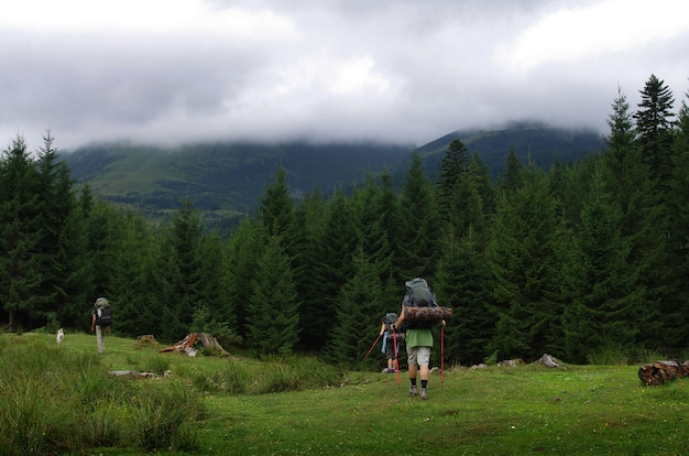 Un grupo de turistas en la montaña en un viaje de marcha nórdica en verano