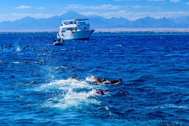 Grupo de turistas que bucean en un Mar Rojo. concepto de vacaciones de verano