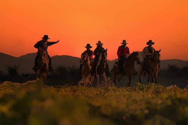 grupo, de, vaquero, equitación, caballo